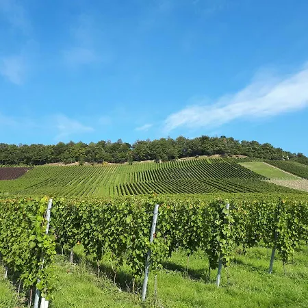 Weinlodge Am Geissberg Апартаменты